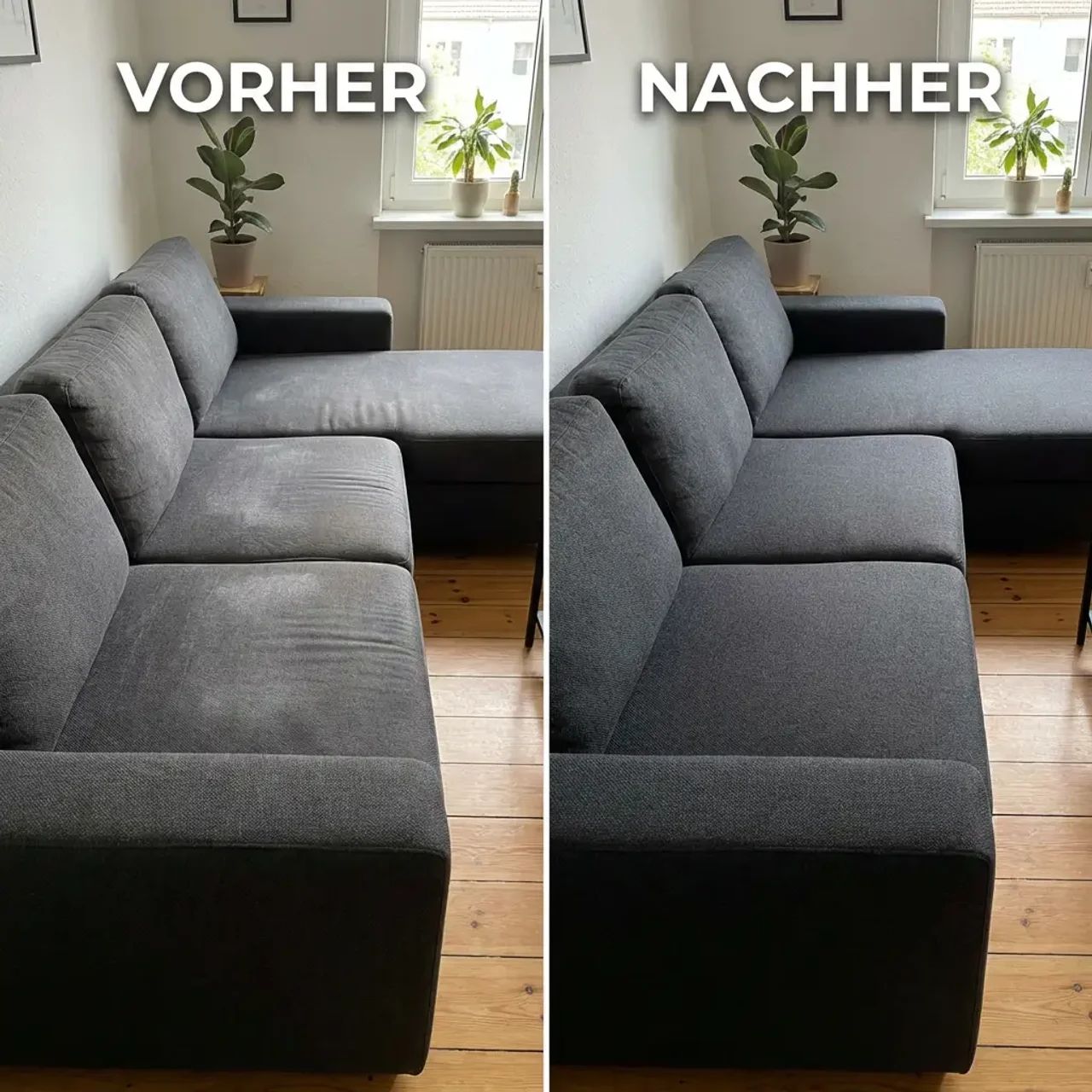 Möbelreinigung